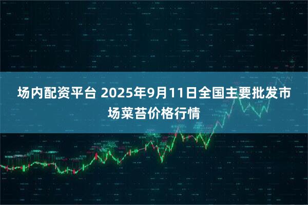 场内配资平台 2025年9月11日全国主要批发市场菜苔价格行情
