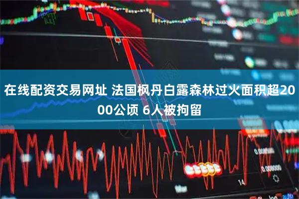 在线配资交易网址 法国枫丹白露森林过火面积超2000公顷 6人被拘留