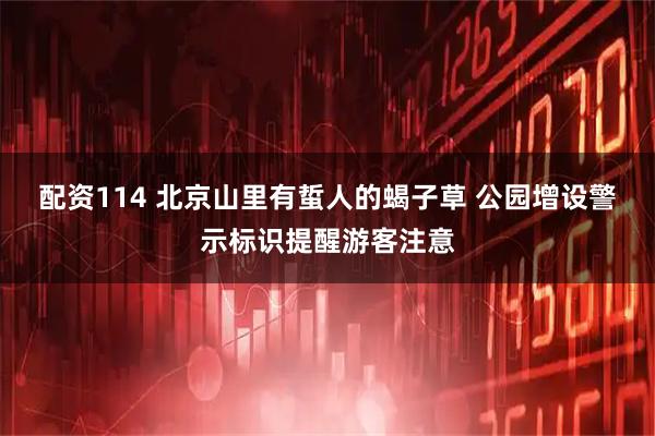 配资114 北京山里有蜇人的蝎子草 公园增设警示标识提醒游客注意